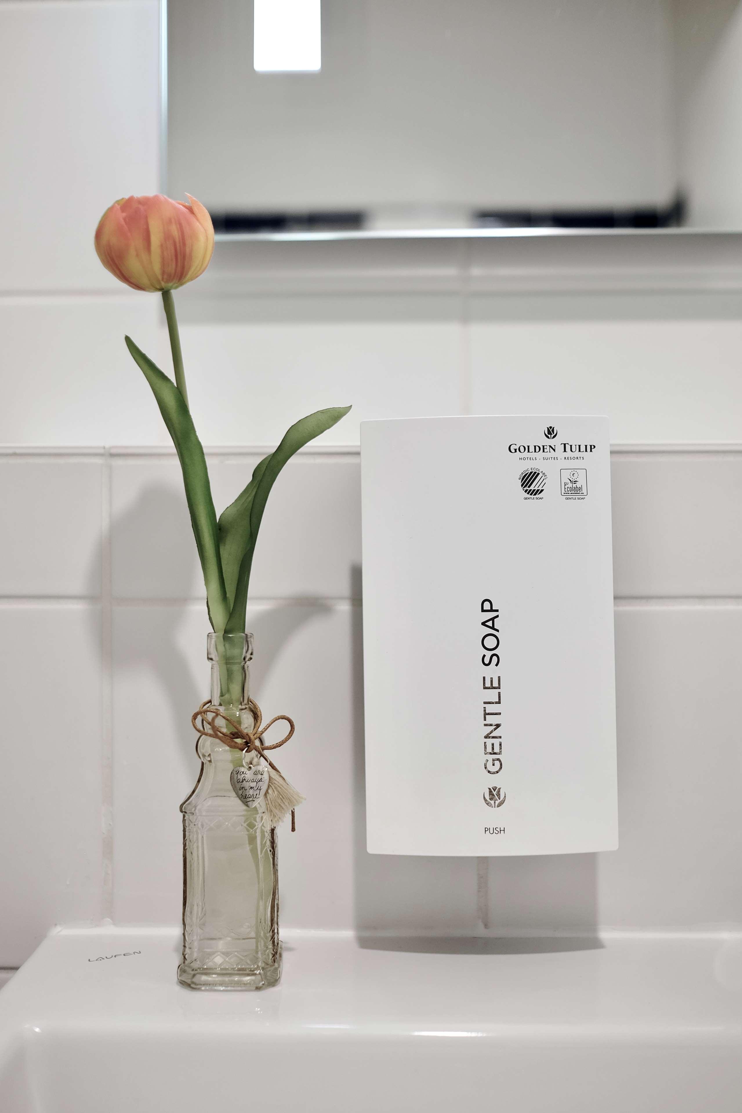 Hotel Tulip Frankfurt Airport 3*
