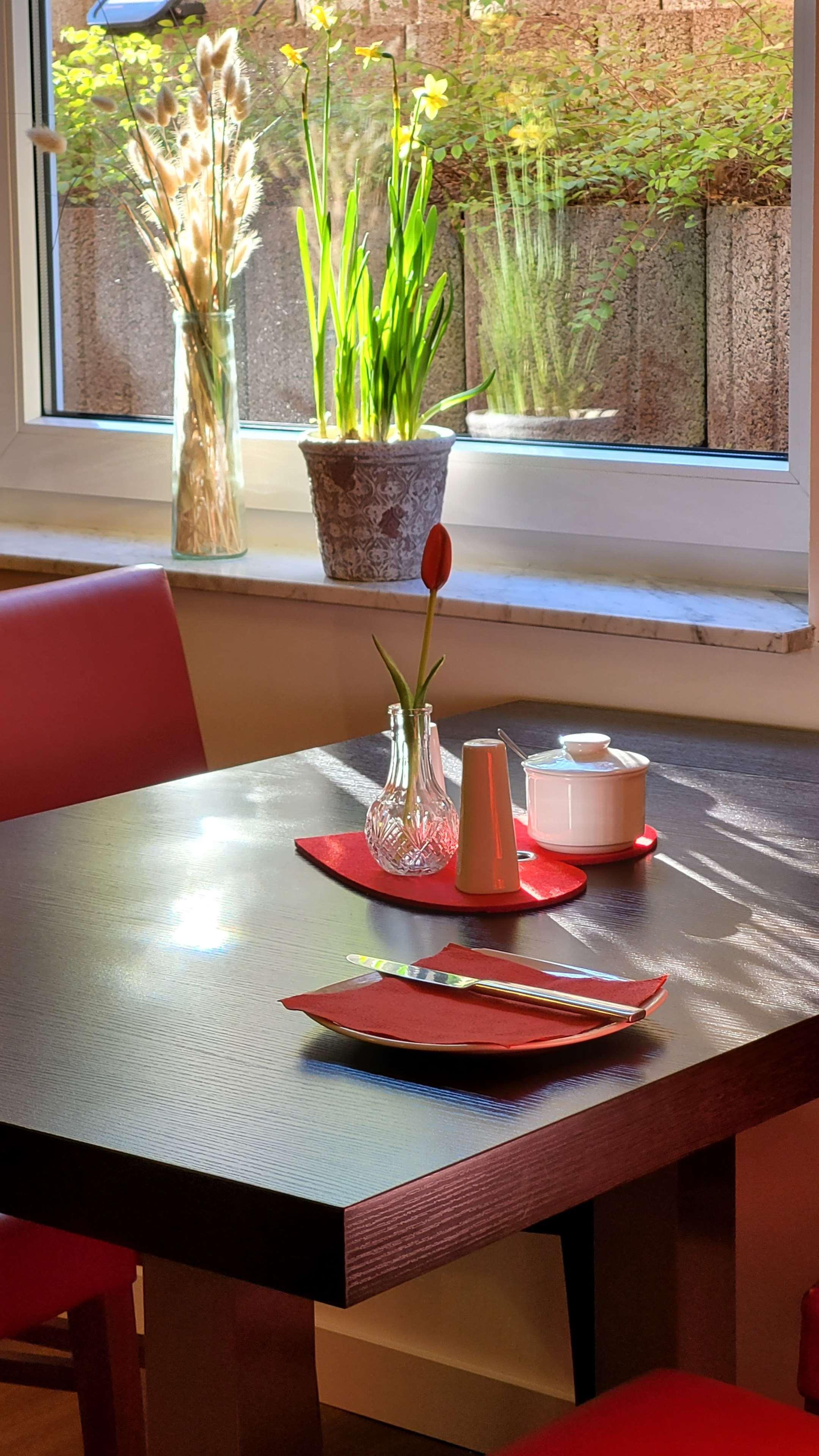 Tulip Frankfurt Airport 3*